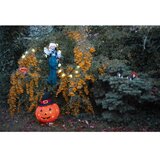 Retlux LED Spoljašnja dekoracija HALLOWEEN LED/3xAA/topla bela IP44 bundeva | Eponuda.com