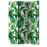  Paravan u 3 dijela - Tropical Paradise [Room Dividers] 135x172 | shoptok.hr