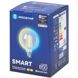 Aigostar led filament sijalica G125 E27/6W/230V 2700-6500K | Eponuda.com