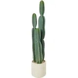umetna rastlina plastika 25D x 25Š x 111V cm zeleno, (5000242204)