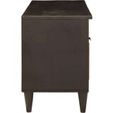 TV omarica Črna in zlata 100 x 33 x 46 cm trden mangov les, (5000064691) | Shoptok.si