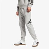 Adidas muški donji deo trenerke M bl ft pt JE8969 Cene