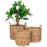 House Nordic Košare u setu 3 kom od morske trave ø 32x30 cm Krabi – | shoptok.hr