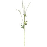  Umetna rastlina Astilba (Višina: 81 cm, Kremna, Plastika) u