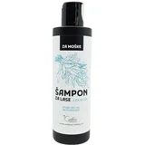 Šampon za moške z žajbljem (200 ml)