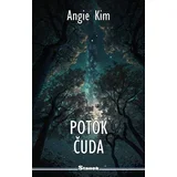 Potok čuda - Angie Kim