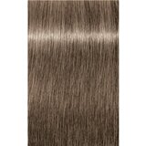 Schwarzkopf igora Royal - 8-1 svetlo blond cendré, 60 ml | Shoptok.si