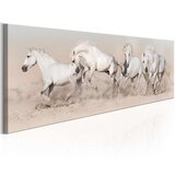  Slika - Wild Beauty 135x45 Cijene