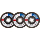 Bosch mešani set X431 flap disk 125 mm P40-P80 061599764Y | ePonuda.com