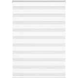 vidaXL Zavjesa zebra 110x100 cm širina tkanine 105,9 cm poliester | shoptok.hr
