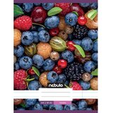 NEBULO Zvezek s črtami, sadni motiv, spet, 81-32, A/4 | Shoptok.si