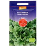 De Bolster Endivija "Green Dutchman" Cene
