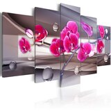  Slika - Orchid on a subdued background 200x100 | shoptok.hr