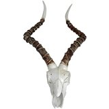 Deco Pleasure Stenska dekoracija iz poliresina 33x68 cm Impalak - Cene