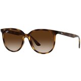Ray-ban RB4378 710/13 ONE SIZE (54) Havana/Rjava | Shoptok.si