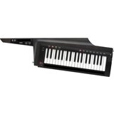 Korg RK-100S 2 BK Cene