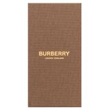 Burberry Ash Flower parfumirana voda unisex 100 ml | Shoptok.si