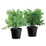  CVIJEĆE 25CM 57725 Cijene
