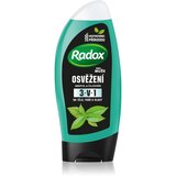 RADOX Men Feel Strong gel za prhanje in šampon 2v1 Mint & Tea Tree 250 ml Cene