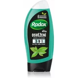 RADOX Men Feel Strong gel za prhanje in šampon 2v1 Mint & Tea Tree 250 ml