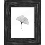 ecoTree Okvir Za Slike Frido | Shoptok.si