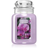Country Candle Sweet Pea mirisna svijeća 737 g | shoptok.hr