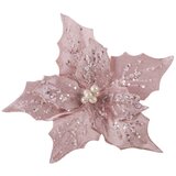 Festa blossom, novogodišnji cvet, roze, 25cm Cene
