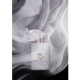 Amouage Honour Man parfumska voda 100 ml za moške | Shoptok.si