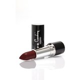 Pierre Cardin Paris Cosmetics pierre cardin porcelain edition mat ruž za usne rustic red | ePonuda.com