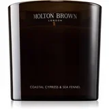 Coastal Cypress & Sea Fennel dišeča sveča 600 g