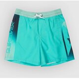 Quiksilver Everyday Holmes Volley 16 Kids Boardshorts aqua holmes Cene