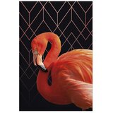 Plakat - Flamingo Solo 40x60 Bez okvira | shoptok.hr