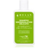 CAPELVENERE Gentle Sebum-Regulating Shampoo šampon za masnu kožu i vlasište 200 ml