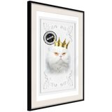  Poster - Cat Rules II 30x45 | shoptok.hr