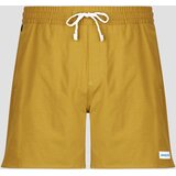 Patagonia M'S HOME WATERS VOLLEY SHORTS - 16 IN. žuta | shoptok.hr