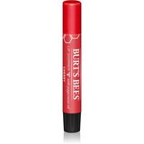 Burt's Bees Bleščice za ustnice s sijočimi barvami - Cherry Cene