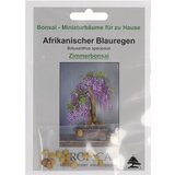 TROPICA Afriška glicinija Cene