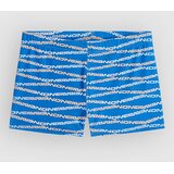 O'neill Print Racer Kids Boardshorts blue boys gradient stripe | Shoptok.si