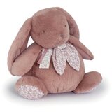 Doudou Roze zeka 42 cm ( DC4247 ) | ePonuda.com