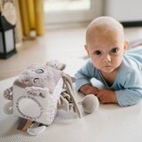 BabyOno Senzorična kocka koala Coco | Shoptok.si