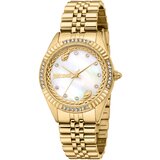 Just Cavalli JC1L361M0055 | Shoptok.si