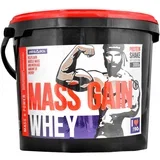 whey mass gain 3000 g jagoda