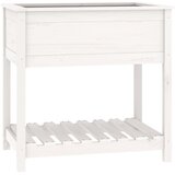  Sadilica s policom bijela 82,5x54x81 cm od masivne borovine | shoptok.hr