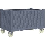  Cvetlično korito s kolesi sivo 80x50x54 cm PP | Shoptok.si