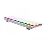 Asus tipkovnica Rog Falchion RX Low Profile, ROG RX Red nizk | Shoptok.si