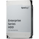Synology Enterprise Series 4TB 3,5" SATA3 7200rpm (HAT5320-4T) NAS trdi disk Cene