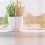 vidaXL Voile zavese z rod žepi 2 kosa svetlo roza | Shoptok.si