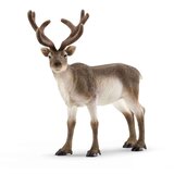 Schleich 14837 - Wild Life - severni jelen Cene