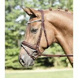 Busse Uzda "MATERA" hazel - WB/Full Cene