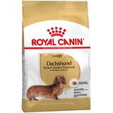 Royal Canin Dachshund Adult - Varčno pakiranje: 2 x 7.5 kg | shoptok.hr